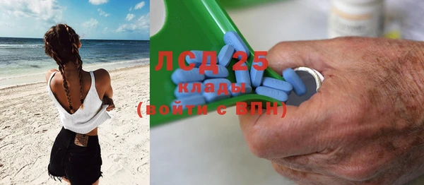 крисы Липки