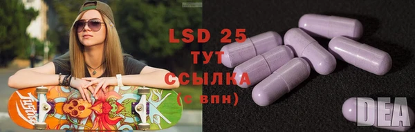 каннабис Болотное