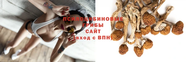 крисы Липки