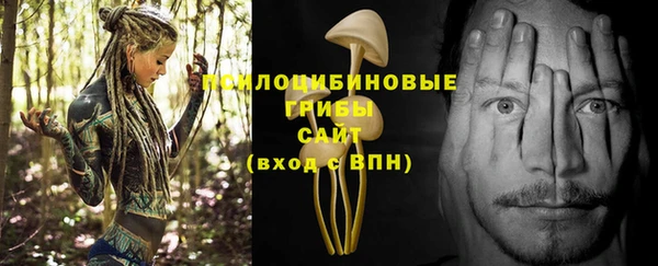 трава Лихославль