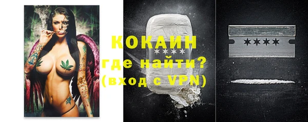 гидра Майский