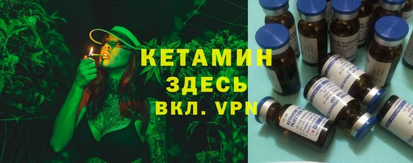 крисы Липки